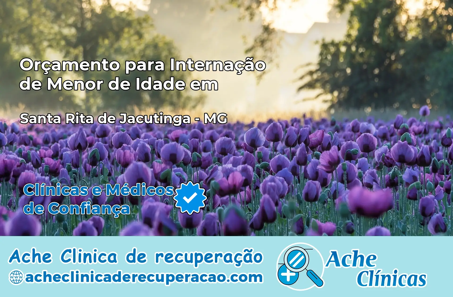 Internação de Menor de Idade em Santa Rita de Jacutinga – MG