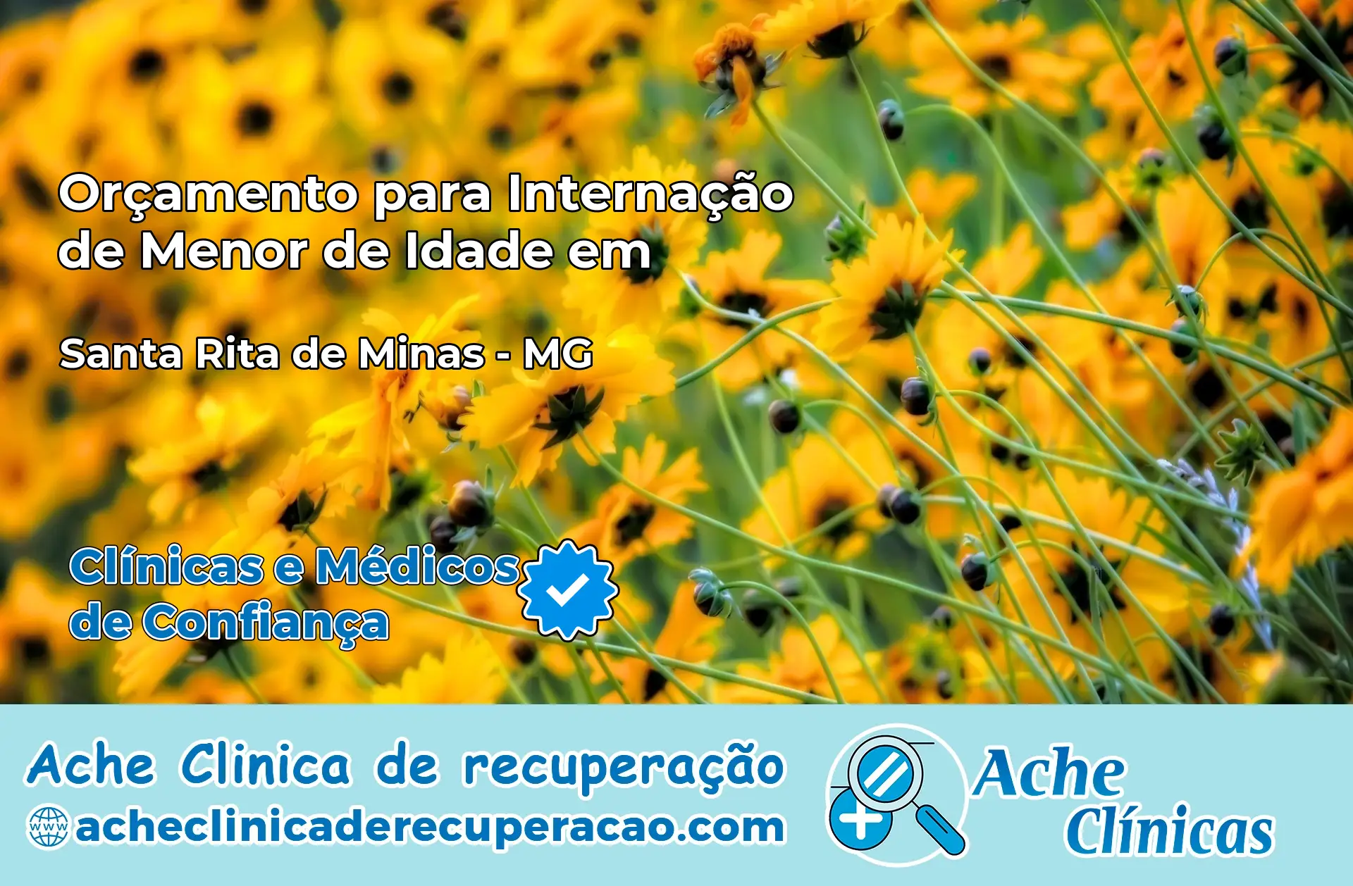 Internação de Menor de Idade em Santa Rita de Minas – MG