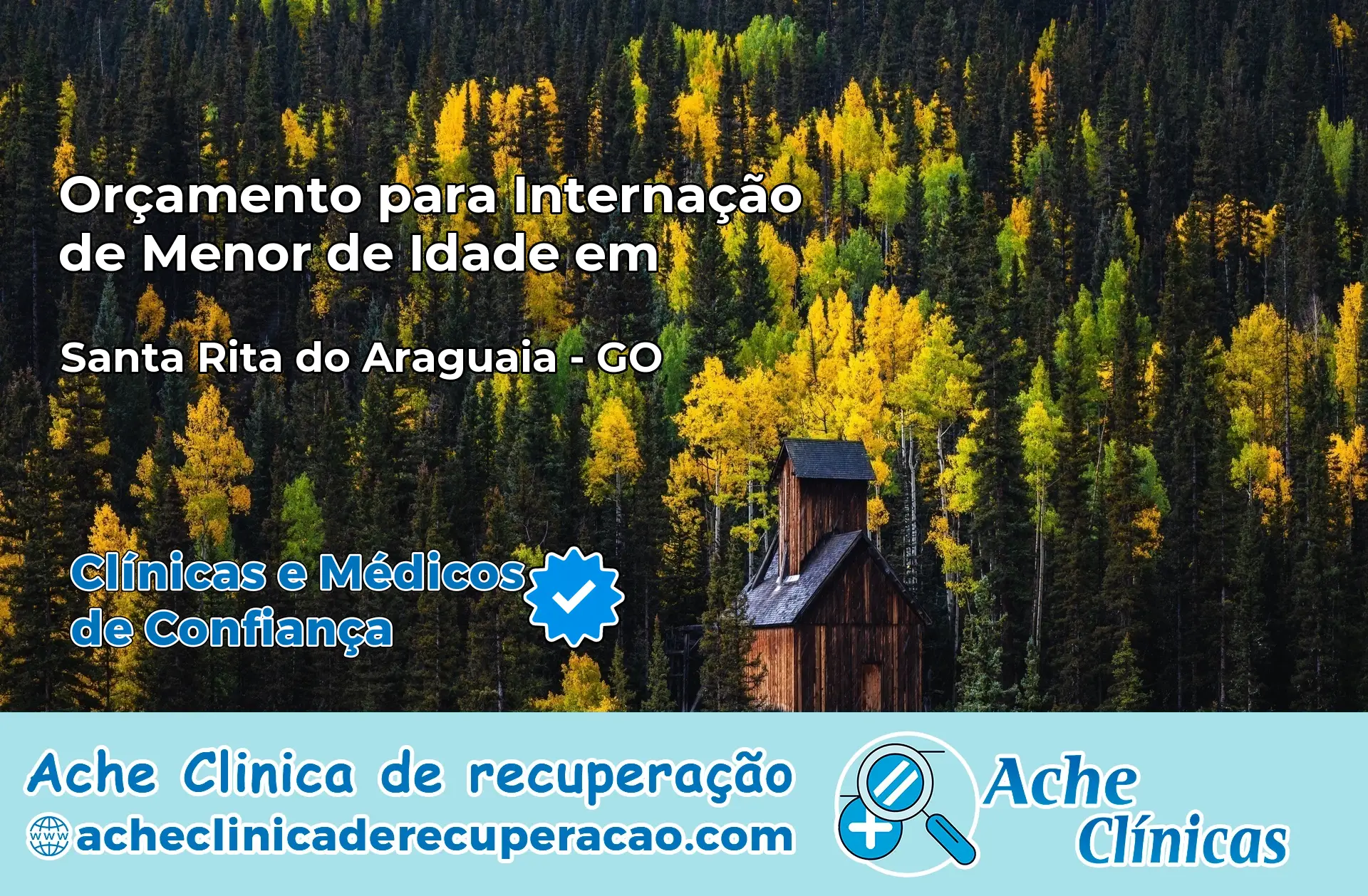 Internação de Menor de Idade em Santa Rita do Araguaia – GO