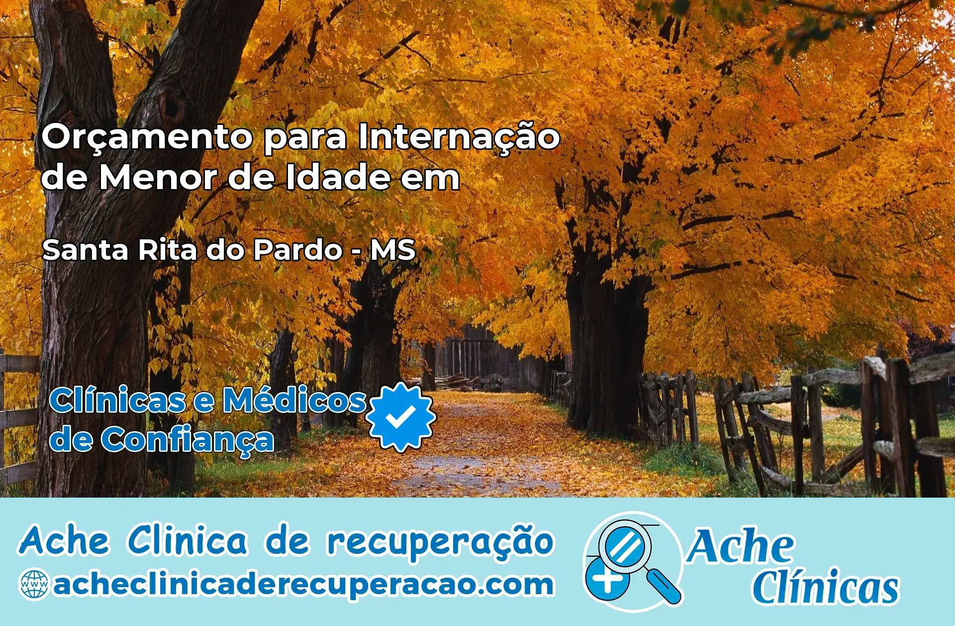 Internação de Menor de Idade em Santa Rita do Pardo – MS
