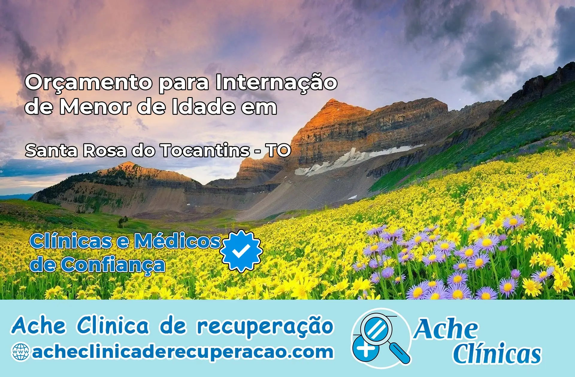 Internação de Menor de Idade em Santa Rosa do Tocantins – TO