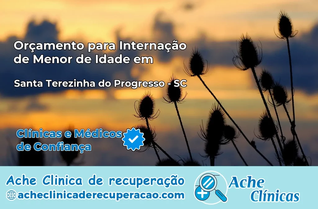 Internação de Menor de Idade em Santa Terezinha do Progresso – SC
