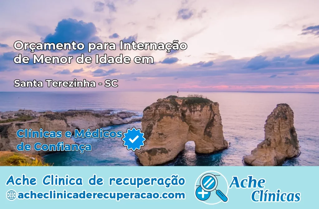 Internação de Menor de Idade em Santa Terezinha – SC