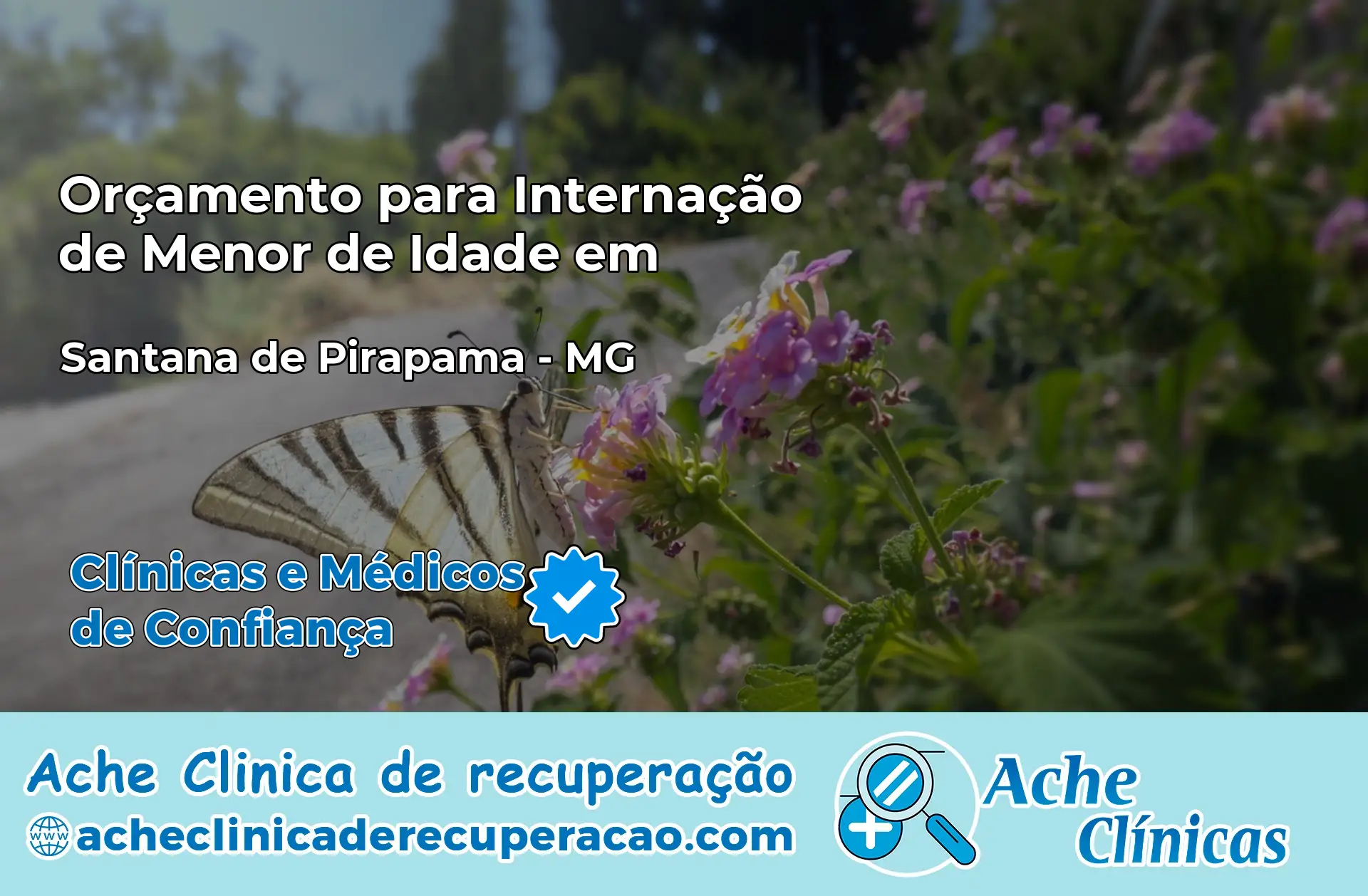 Internação de Menor de Idade em Santana de Pirapama – MG