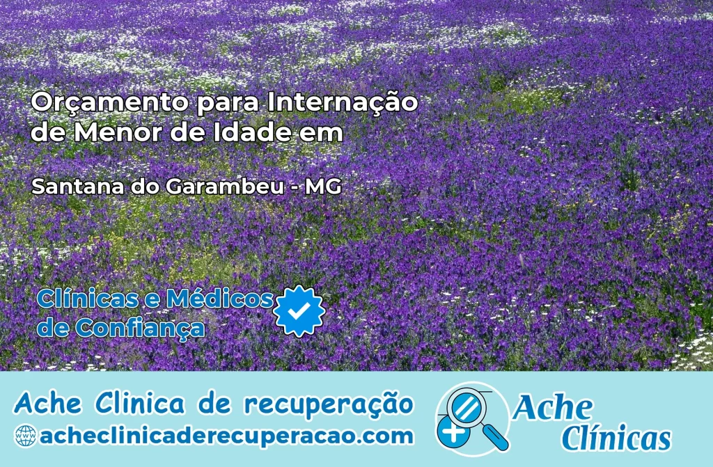 Internação de Menor de Idade em Santana do Garambéu – MG
