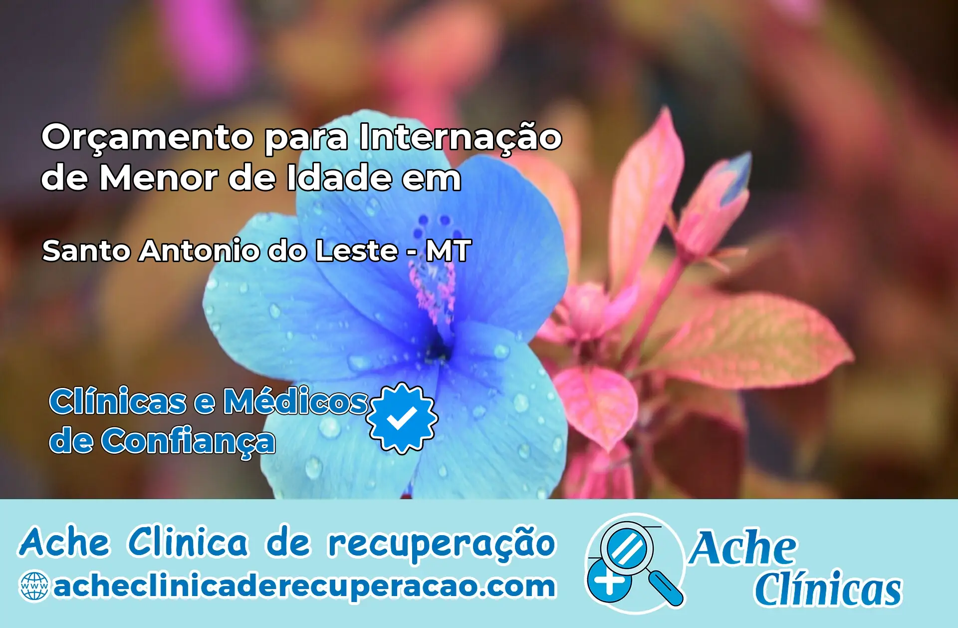 Internação de Menor de Idade em Santo Antônio do Leste – MT