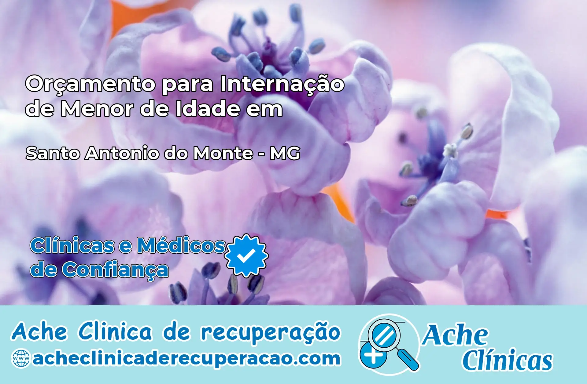 Internação de Menor de Idade em Santo Antônio do Monte – MG
