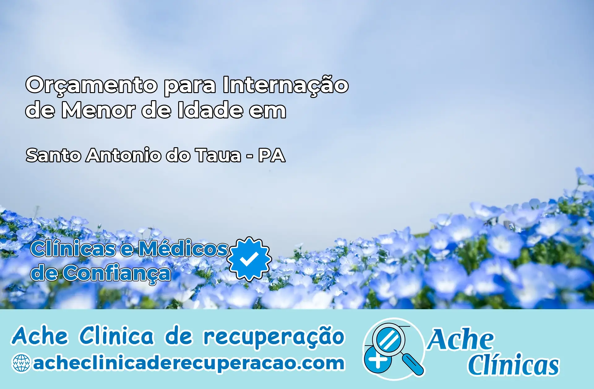 Internação de Menor de Idade em Santo Antônio do Tauá – PA