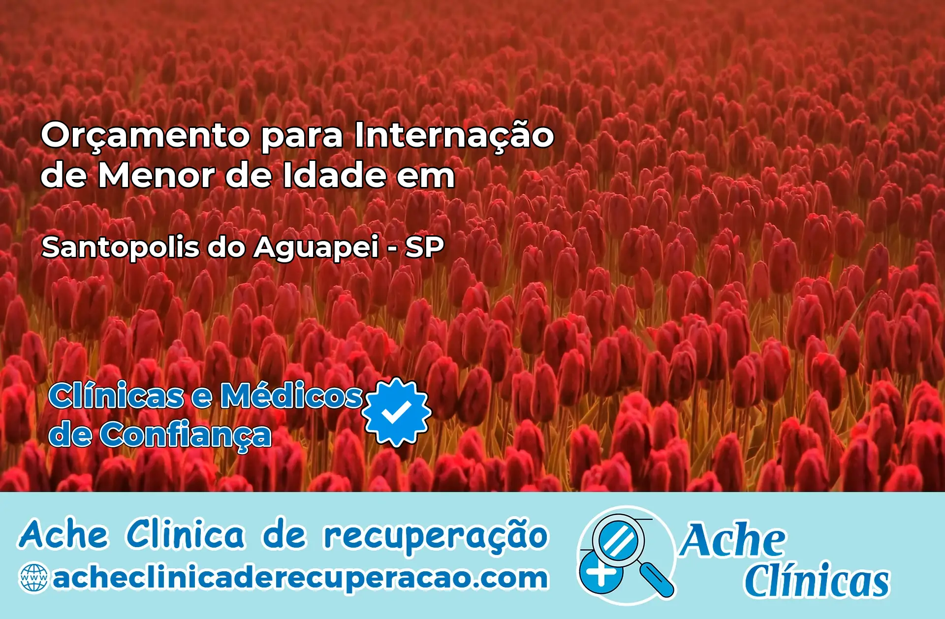 Internação de Menor de Idade em Santópolis do Aguapeí – SP