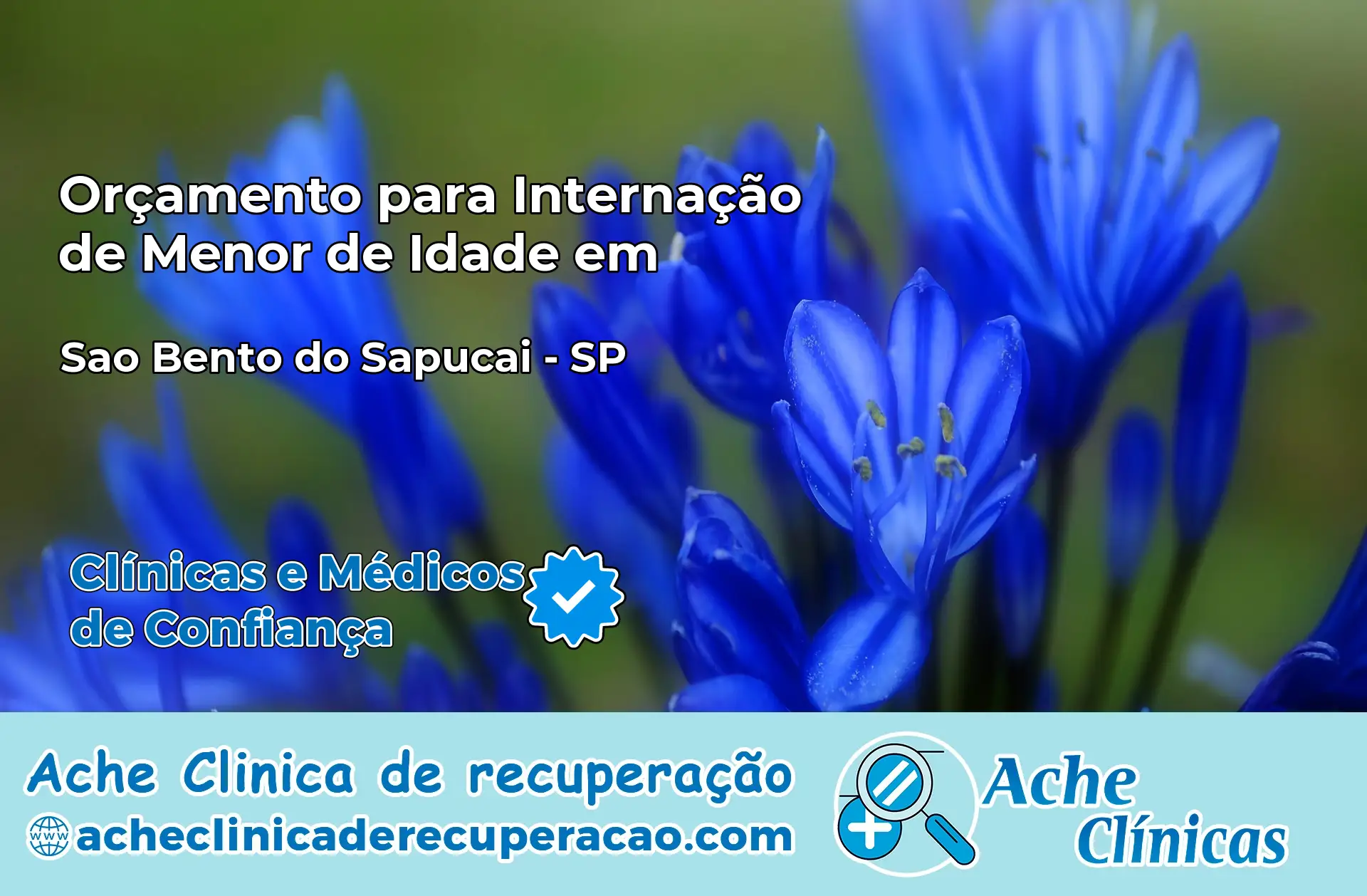 Internação de Menor de Idade em São Bento do Sapucaí – SP