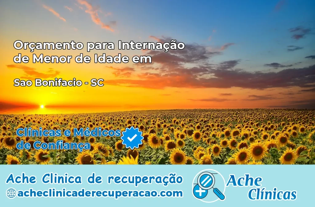 Internação de Menor de Idade em São Bonifácio – SC