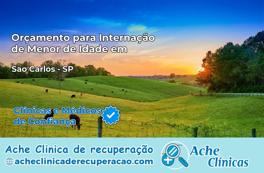 Internação de Menor de Idade em São Carlos – SP