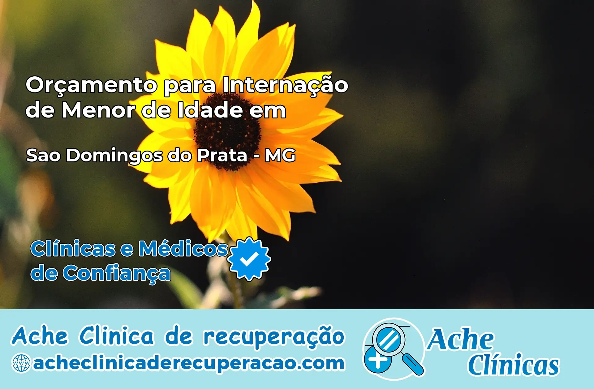 Internação de Menor de Idade em São Domingos do Prata – MG