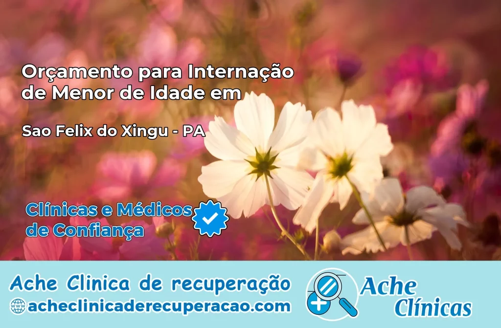 Internação de Menor de Idade em São Félix do Xingu – PA