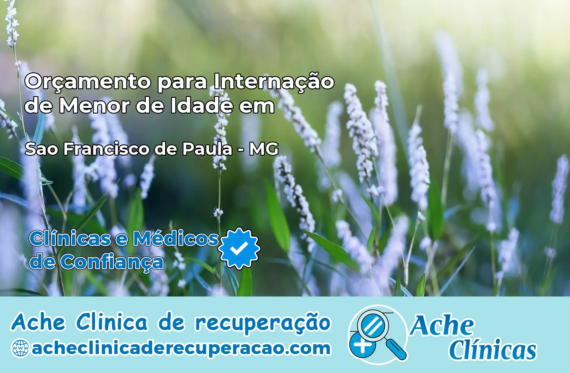 Internação de Menor de Idade em São Francisco de Paula – MG