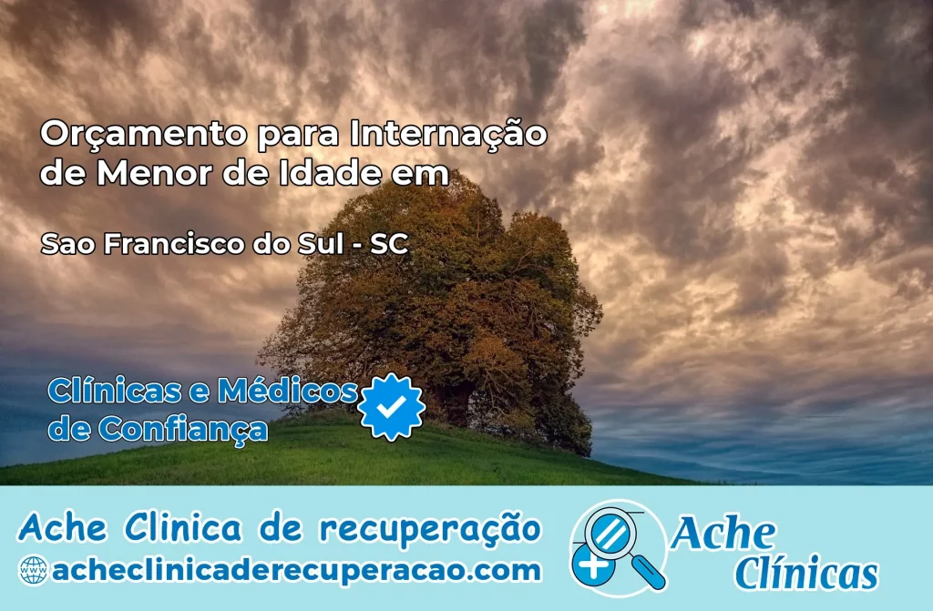Internação de Menor de Idade em São Francisco do Sul – SC