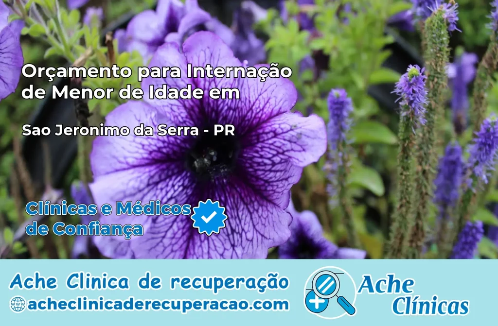 Internação de Menor de Idade em Sertanópolis – PR