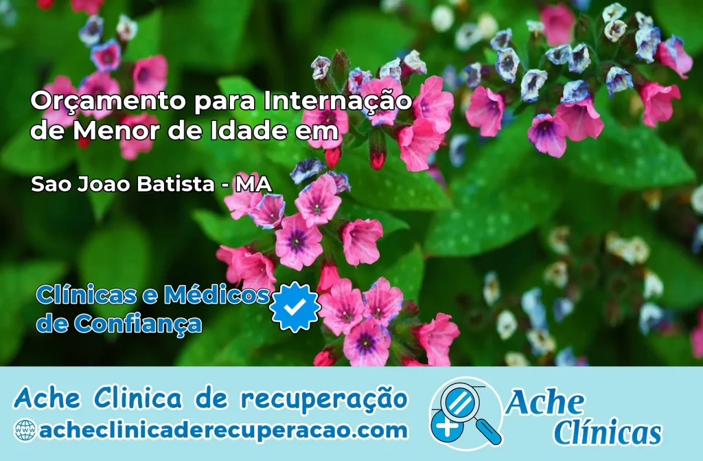 Internação de Menor de Idade em São João Batista – MA