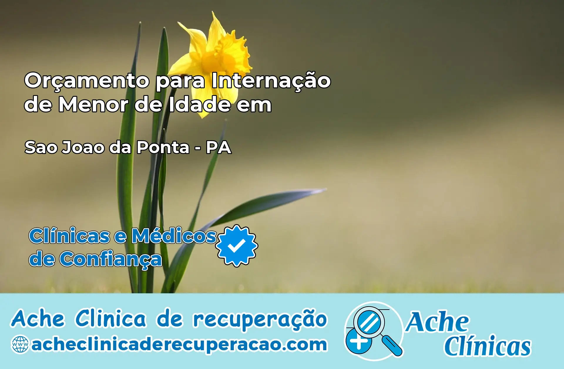 Internação de Menor de Idade em São João da Ponta – PA