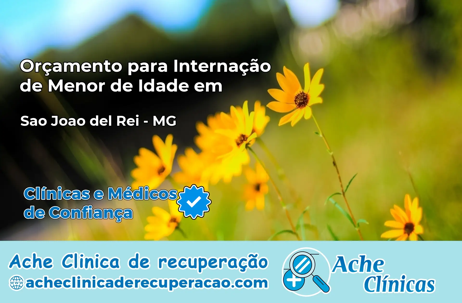 Internação de Menor de Idade em São João del Rei – MG