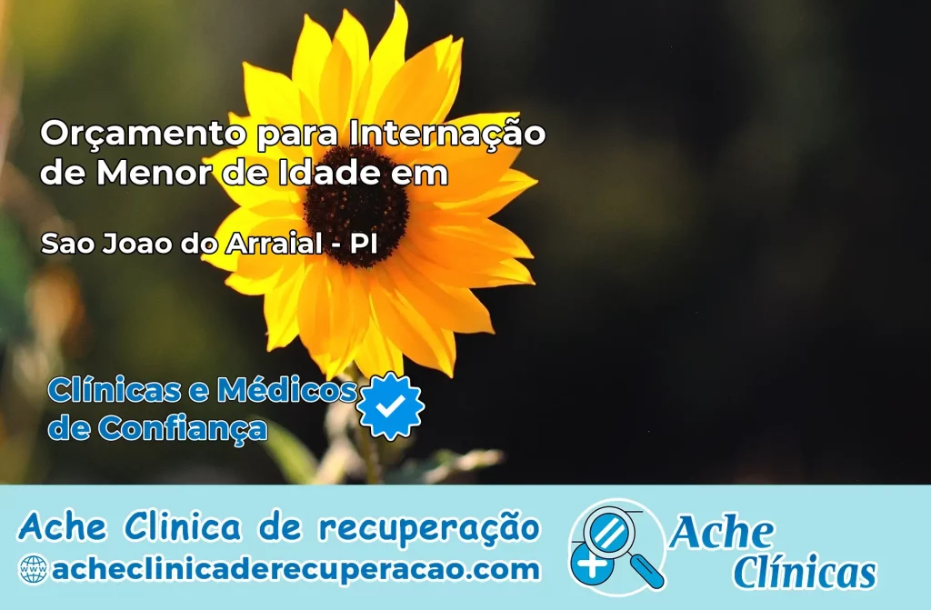 Internação de Menor de Idade em São João do Arraial – PI