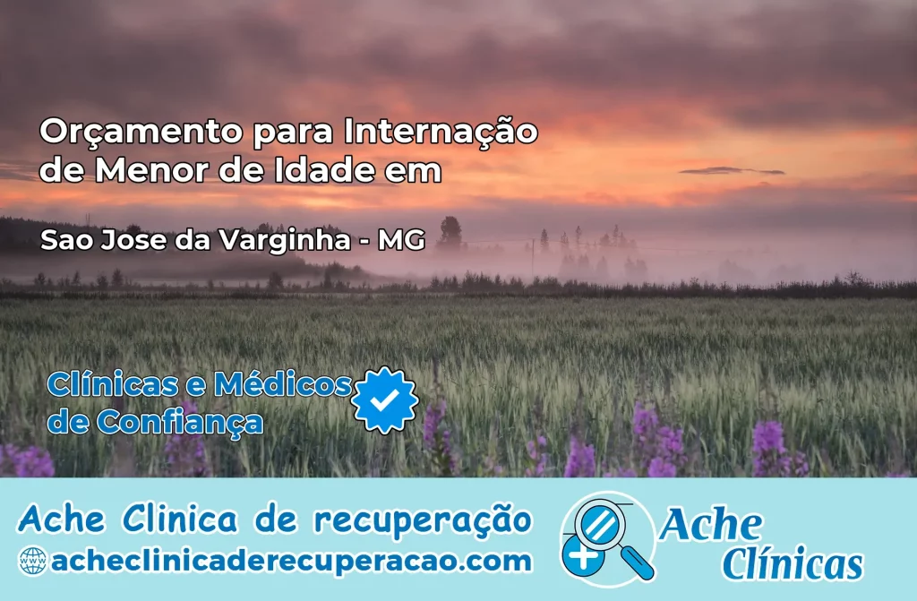 Internação de Menor de Idade em São José da Varginha – MG