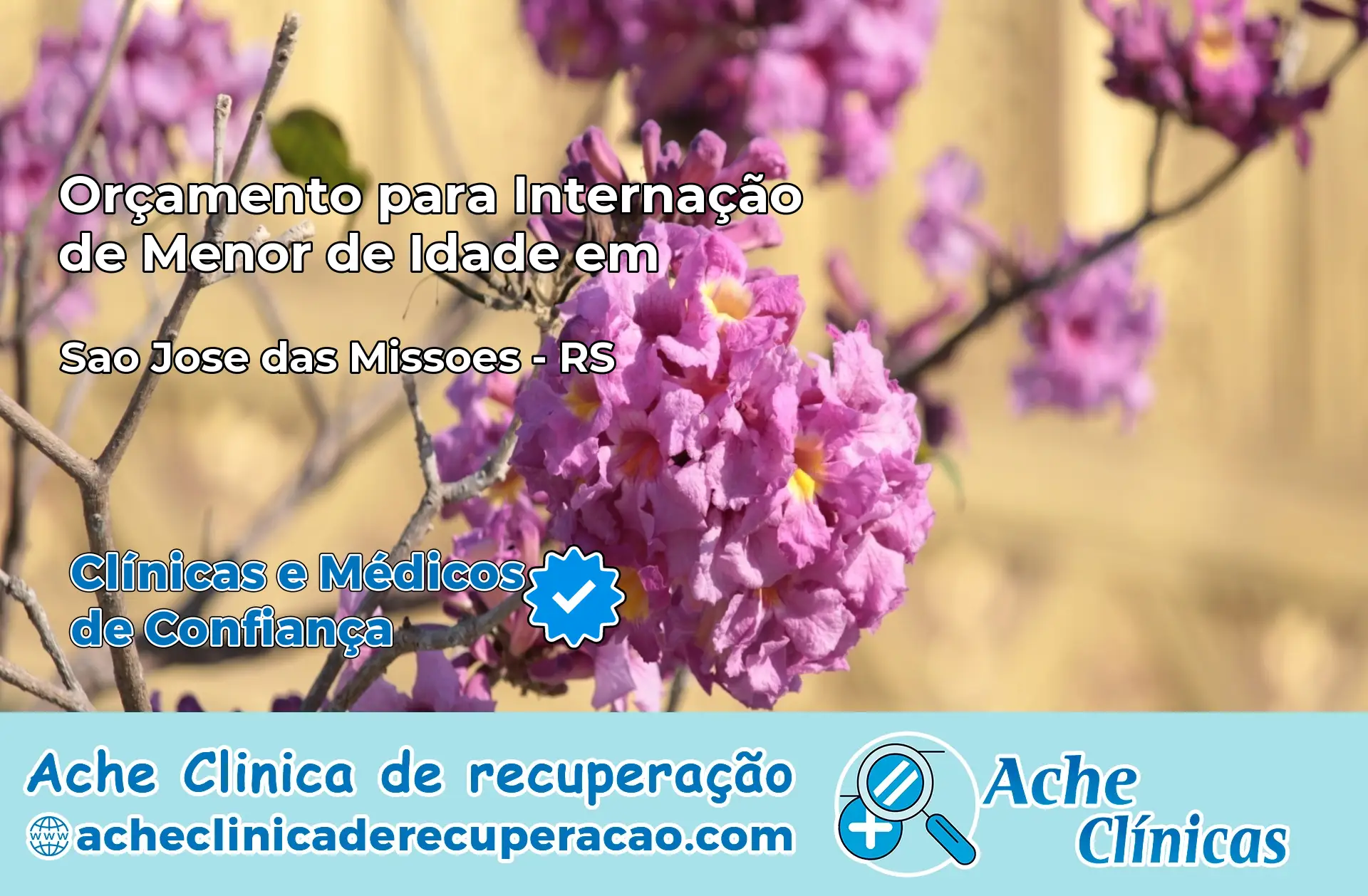 Internação de Menor de Idade em São José das Missões – RS