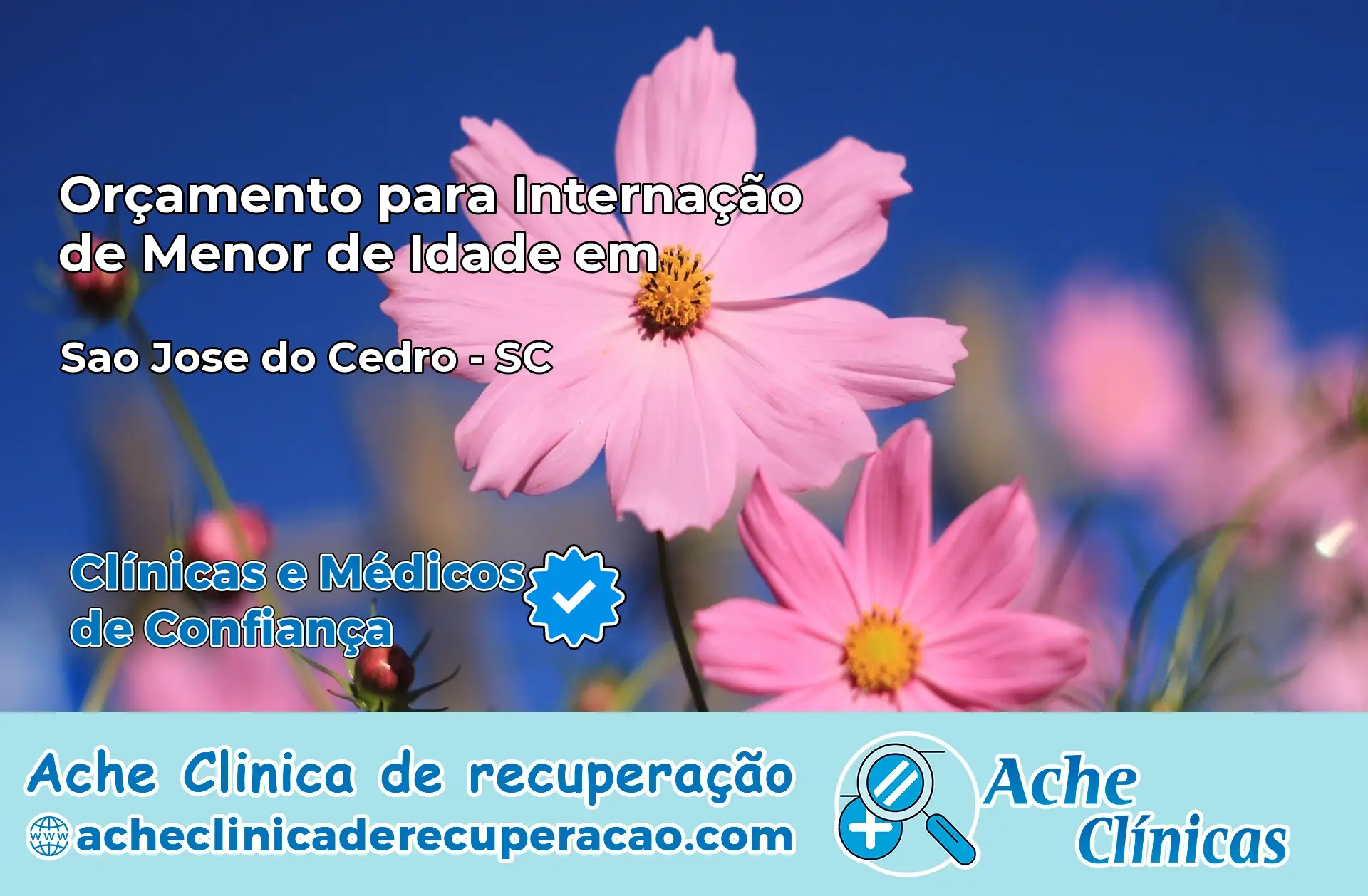 Internação de Menor de Idade em São José do Cedro – SC