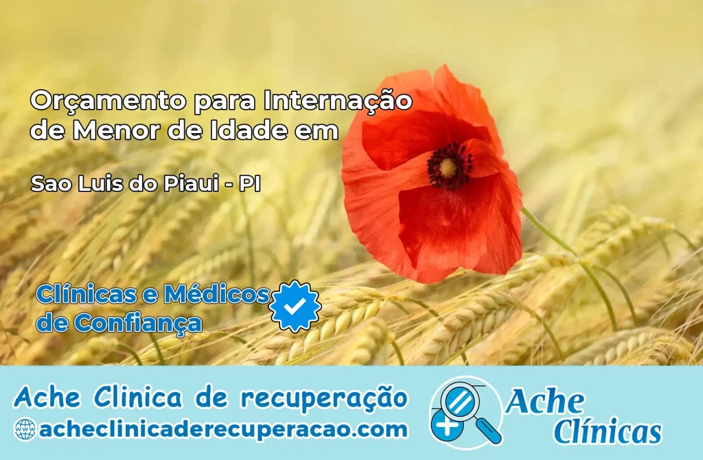 Internação de Menor de Idade em São Luis do Piauí – PI