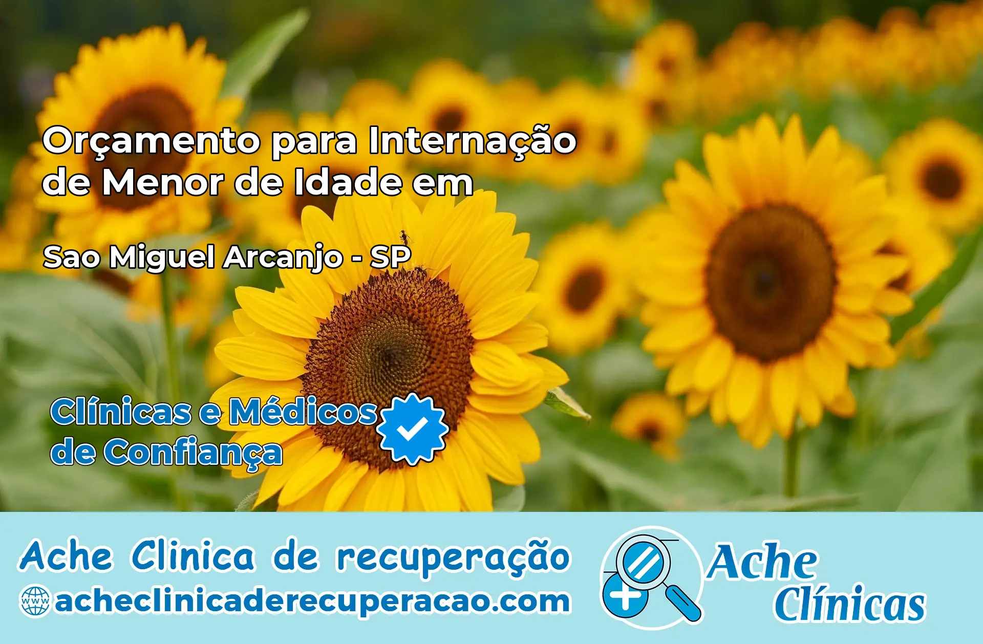 Internação de Menor de Idade em São Miguel Arcanjo – SP