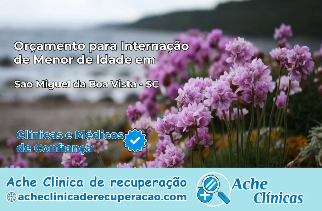 Internação de Menor de Idade em São Miguel da Boa Vista – SC