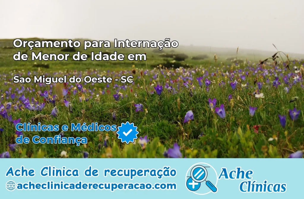 Internação de Menor de Idade em São Miguel do Oeste – SC