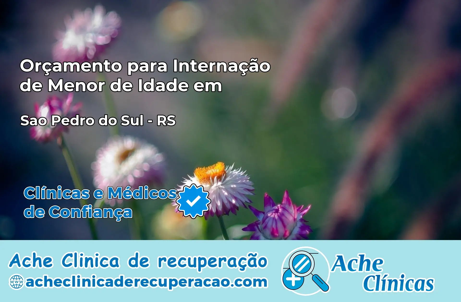 Internação de Menor de Idade em São Pedro do Sul – RS