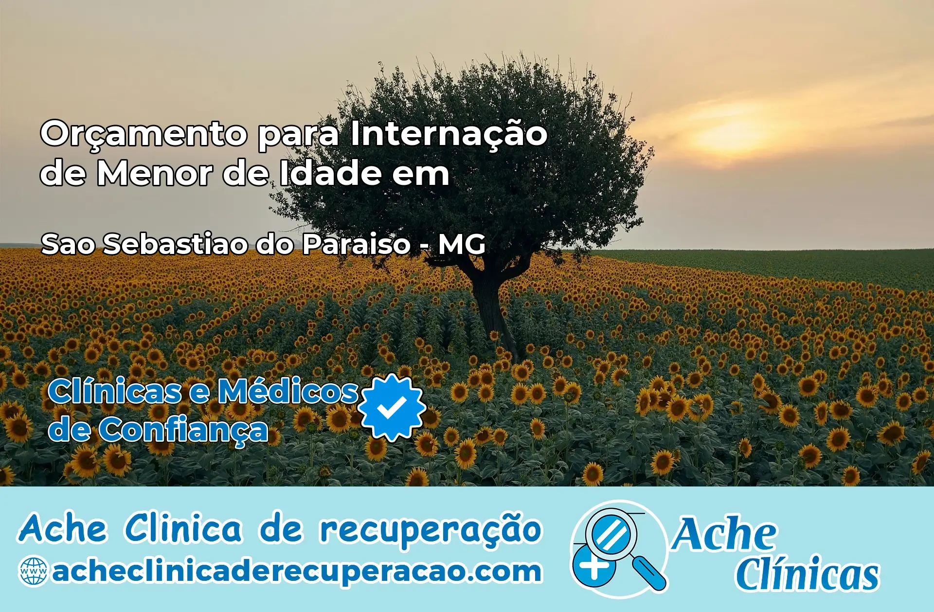 Internação de Menor de Idade em São Sebastião do Paraíso – MG