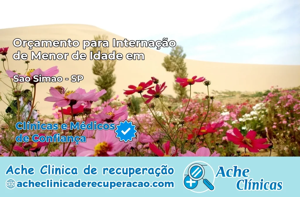 Internação de Menor de Idade em São Simão – SP