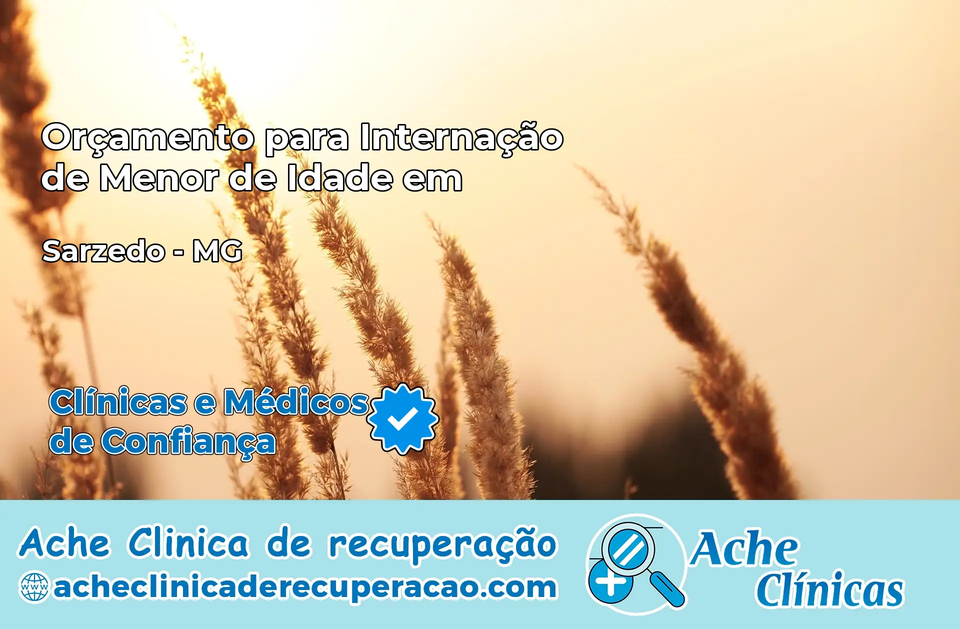 Internação de Menor de Idade em Sarzedo – MG
