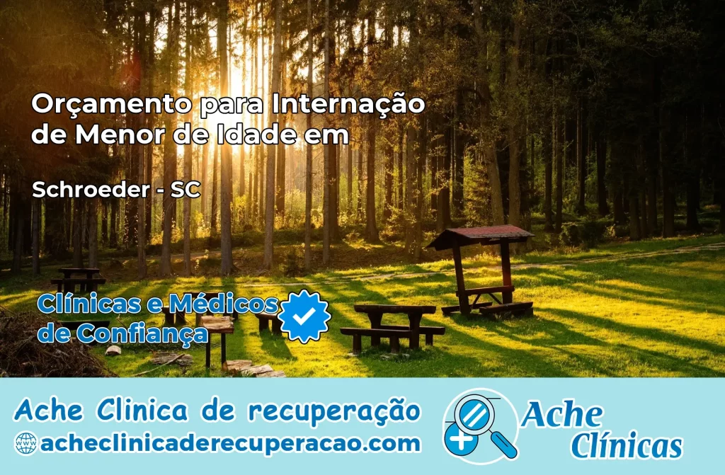 Internação de Menor de Idade em Schroeder – SC
