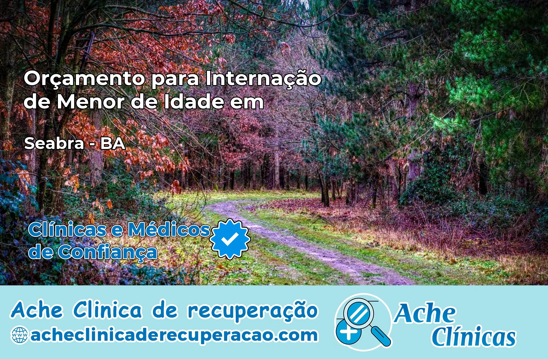 Internação de Menor de Idade em Seabra – BA