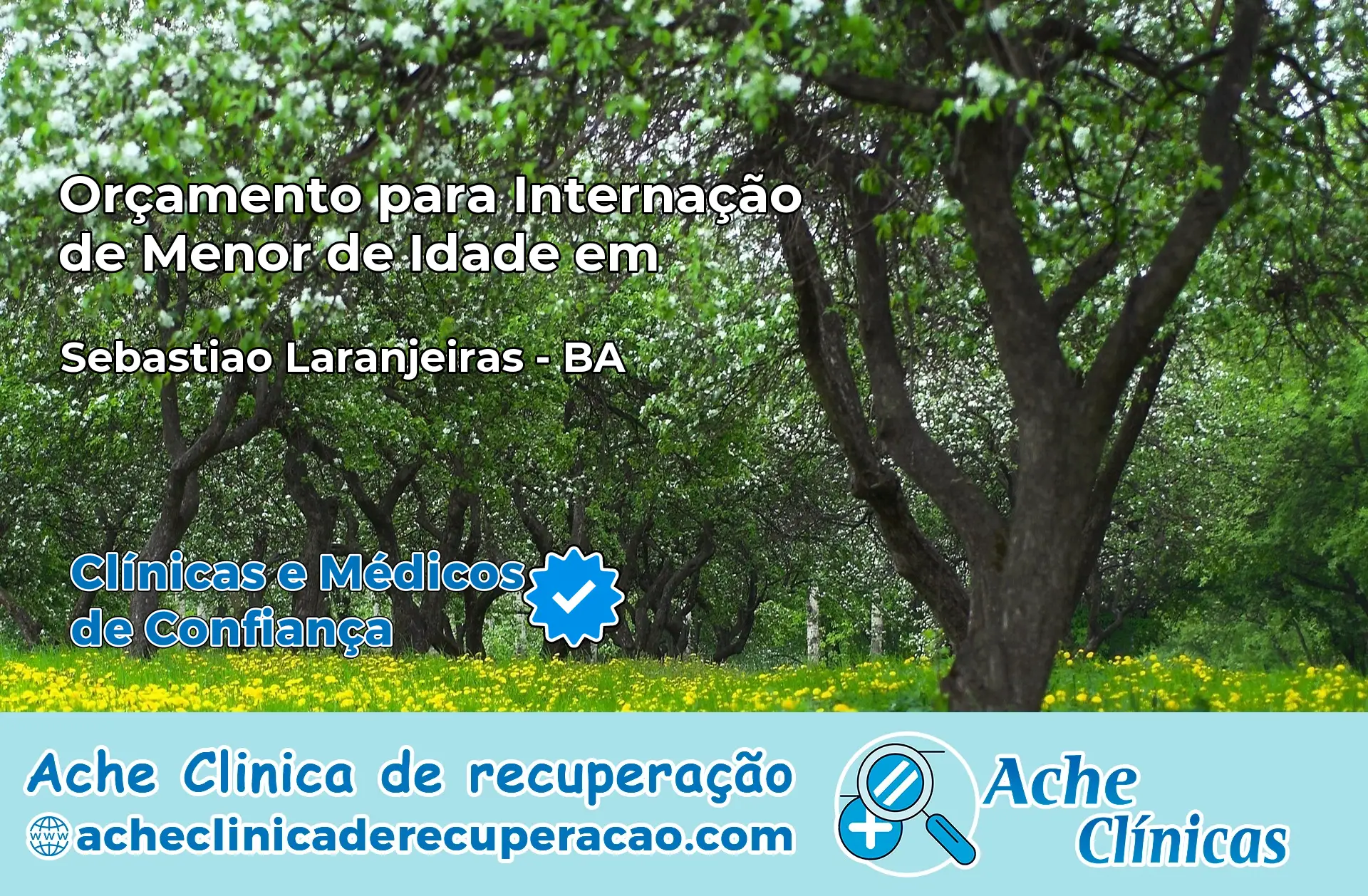 Internação de Menor de Idade em Sebastião Laranjeiras – BA