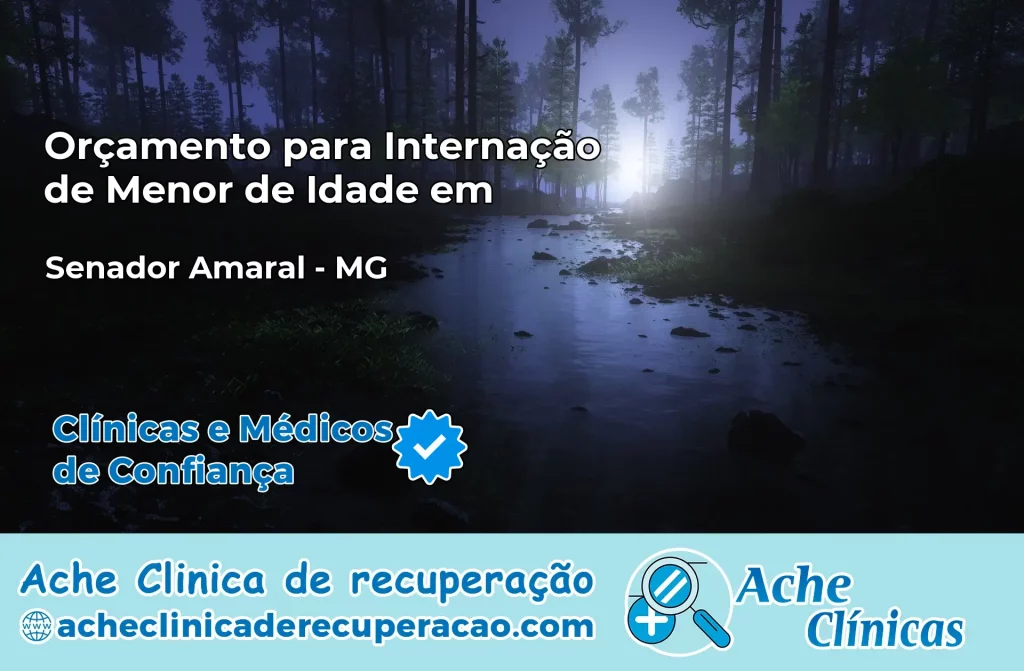 Internação de Menor de Idade em Senador Amaral – MG