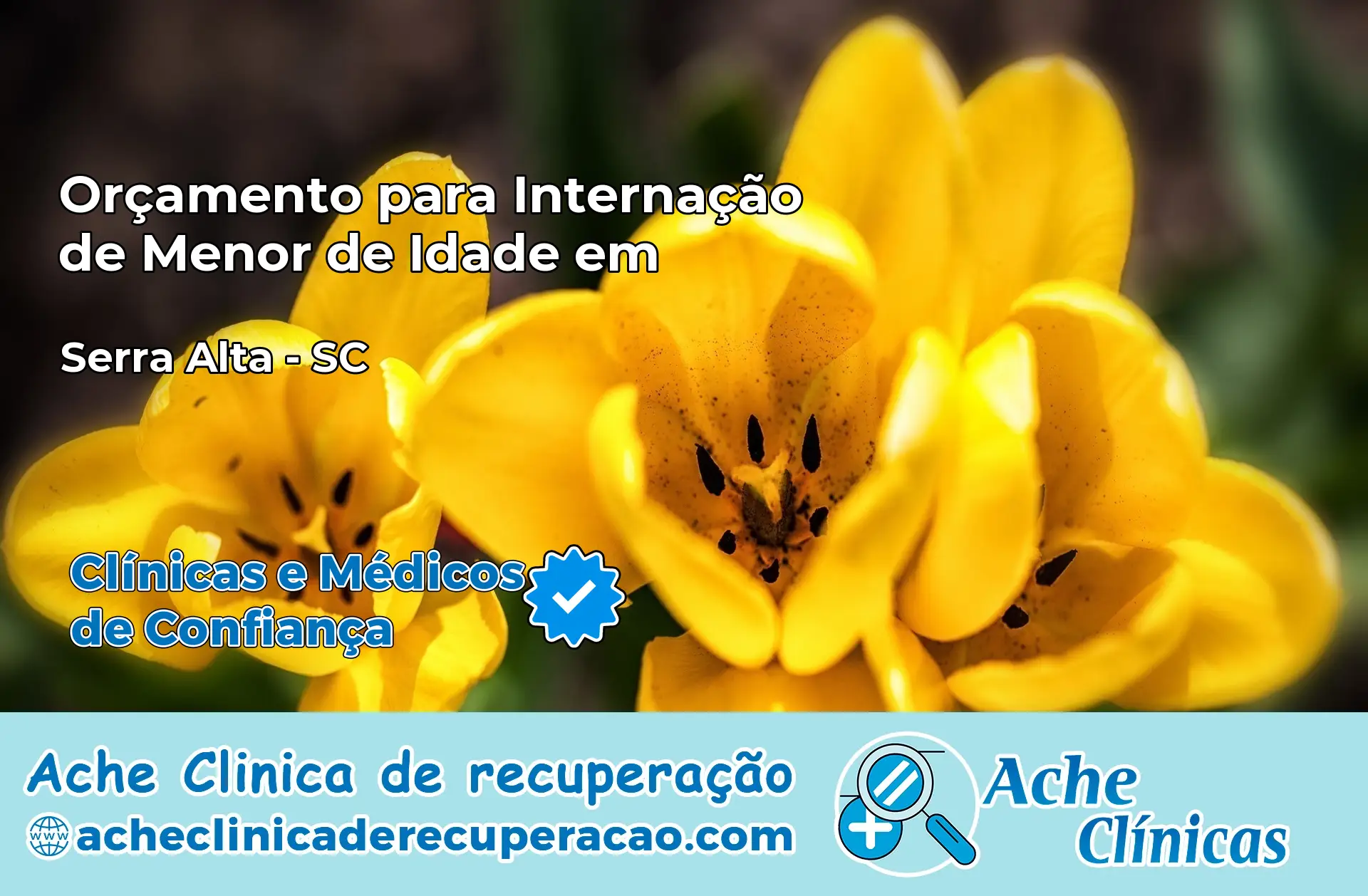 Internação de Menor de Idade em Serra Alta – SC