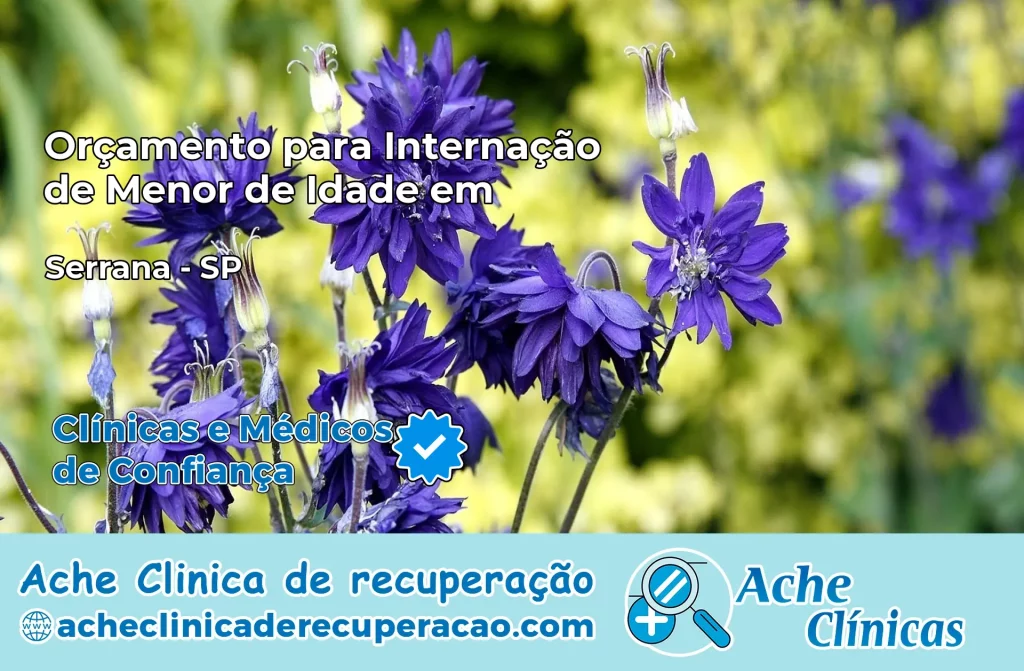 Internação de Menor de Idade em Serrana – SP