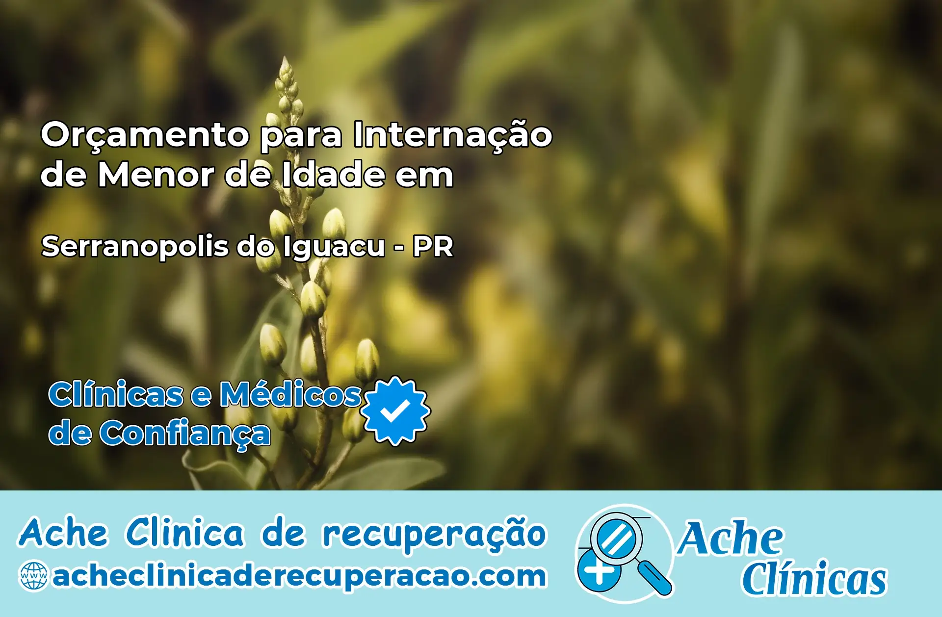 Internação de Menor de Idade em Sapopema – PR
