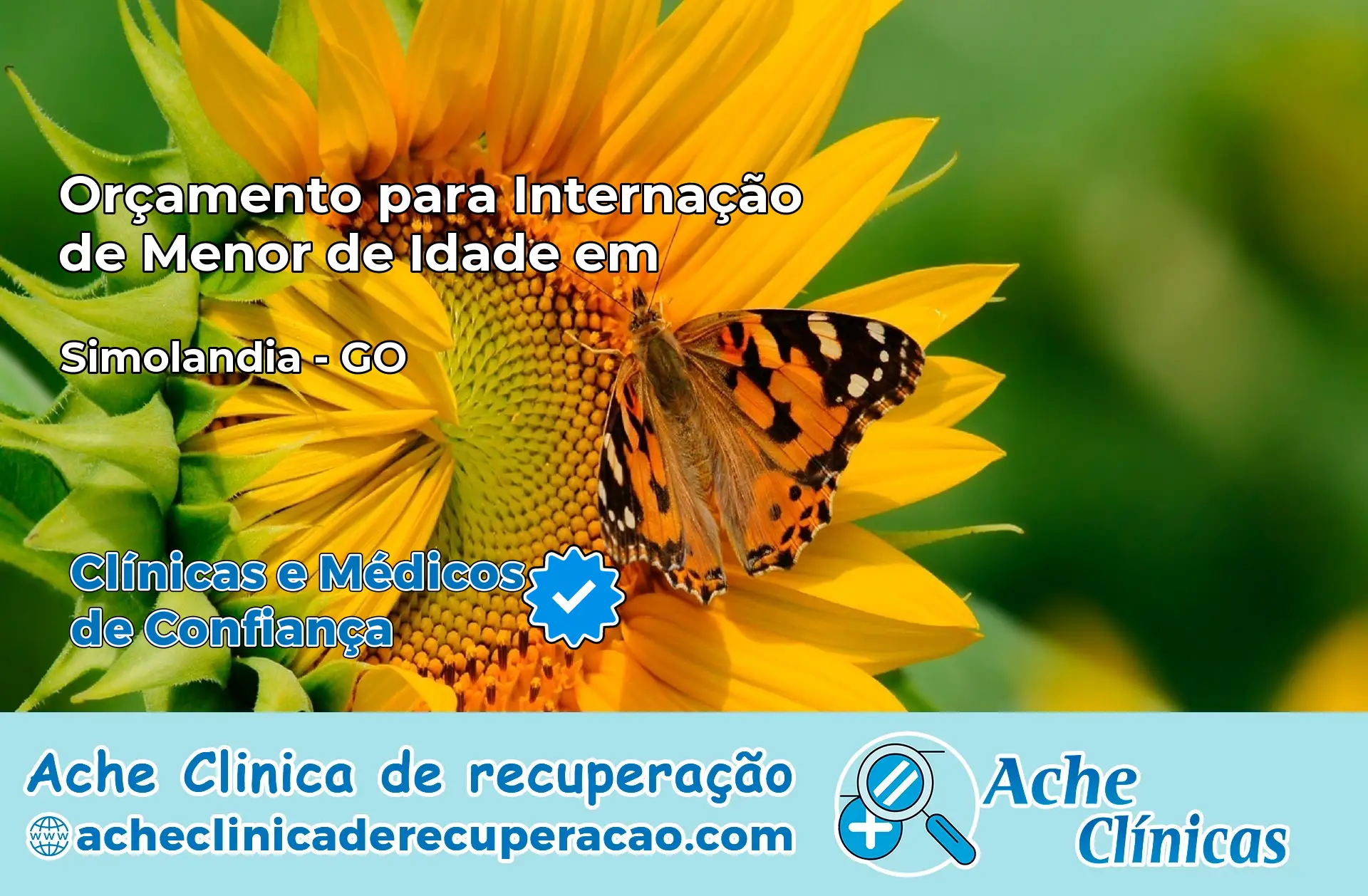 Internação de Menor de Idade em Simolândia – GO