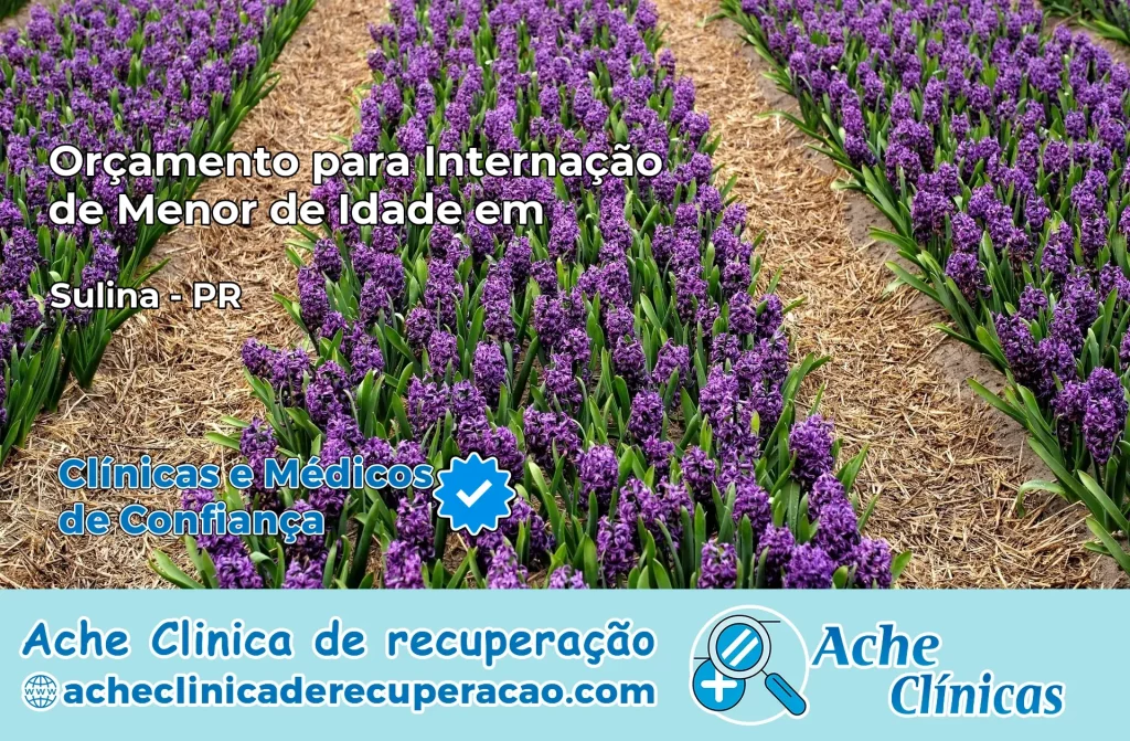 Internação de Menor de Idade em Serranópolis do Iguaçu – PR