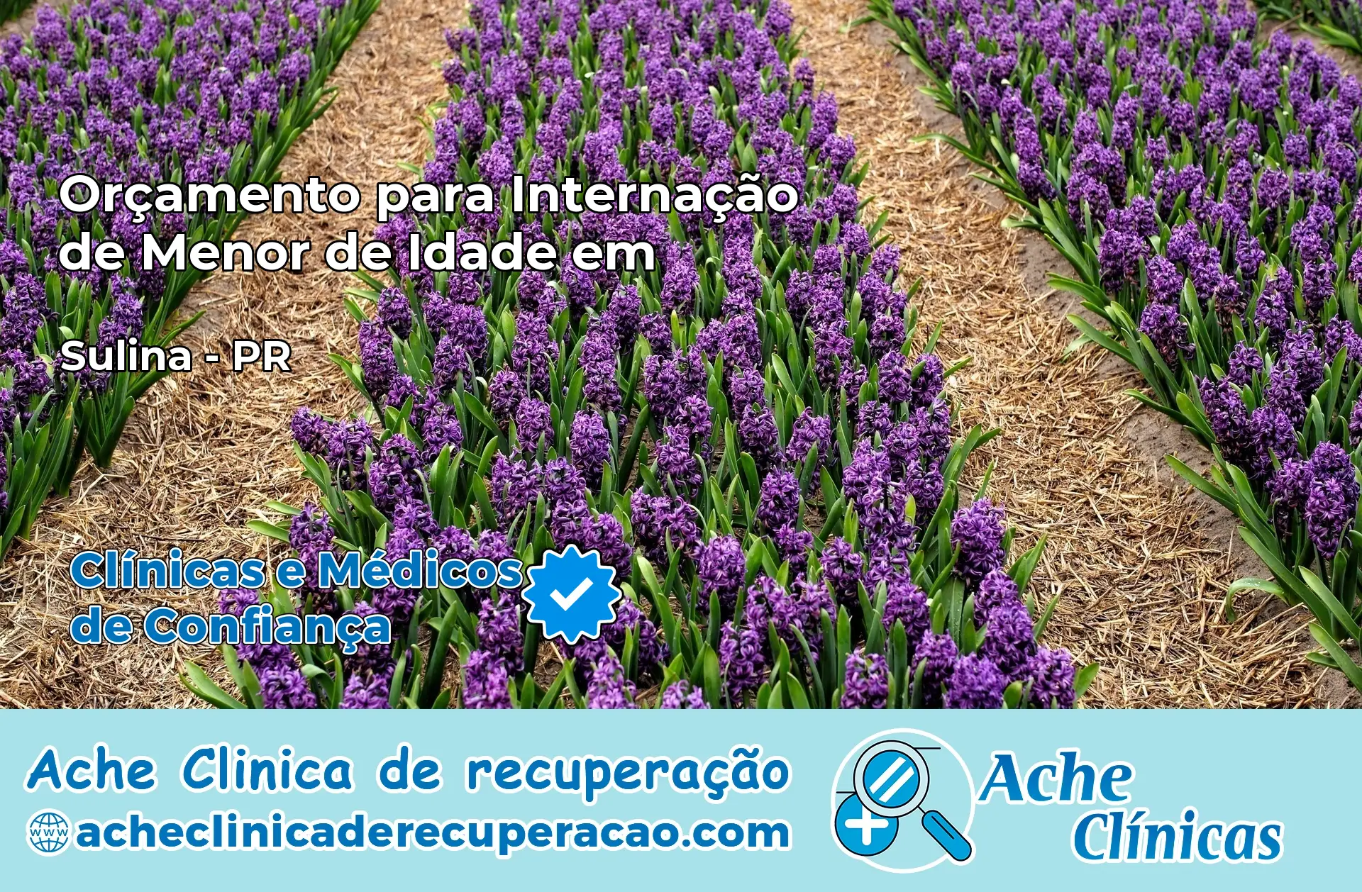 Internação de Menor de Idade em Serranópolis do Iguaçu – PR