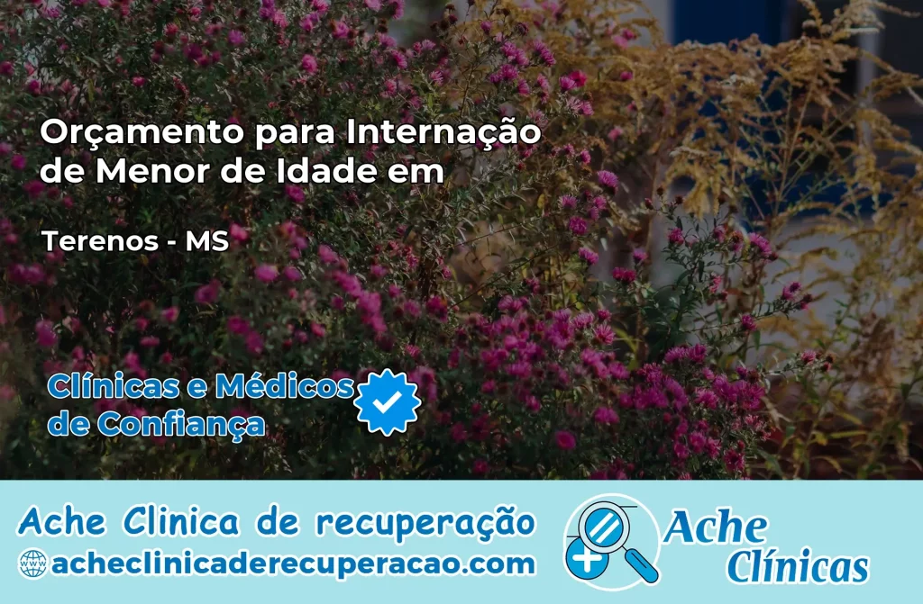 Internação de Menor de Idade em Terenos – MS