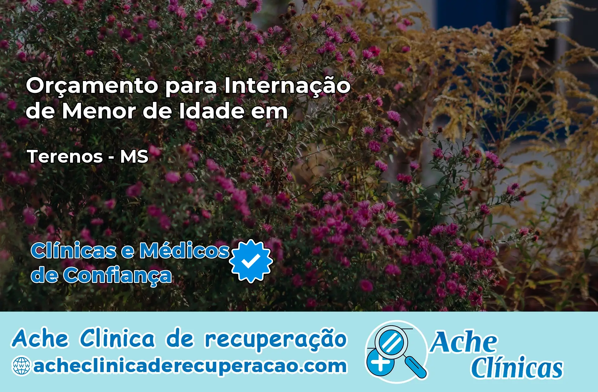 Internação de Menor de Idade em Terenos – MS
