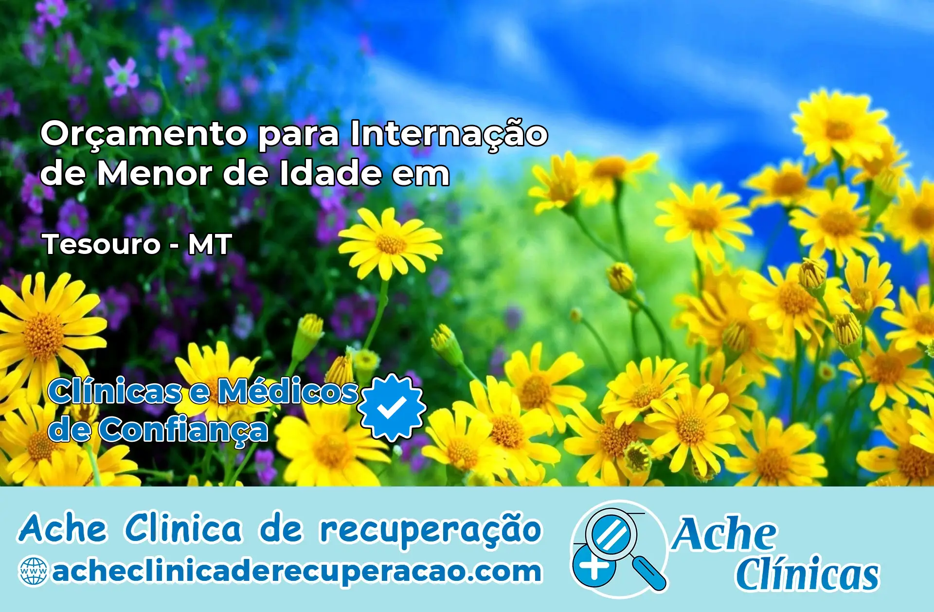 Internação de Menor de Idade em Tesouro – MT