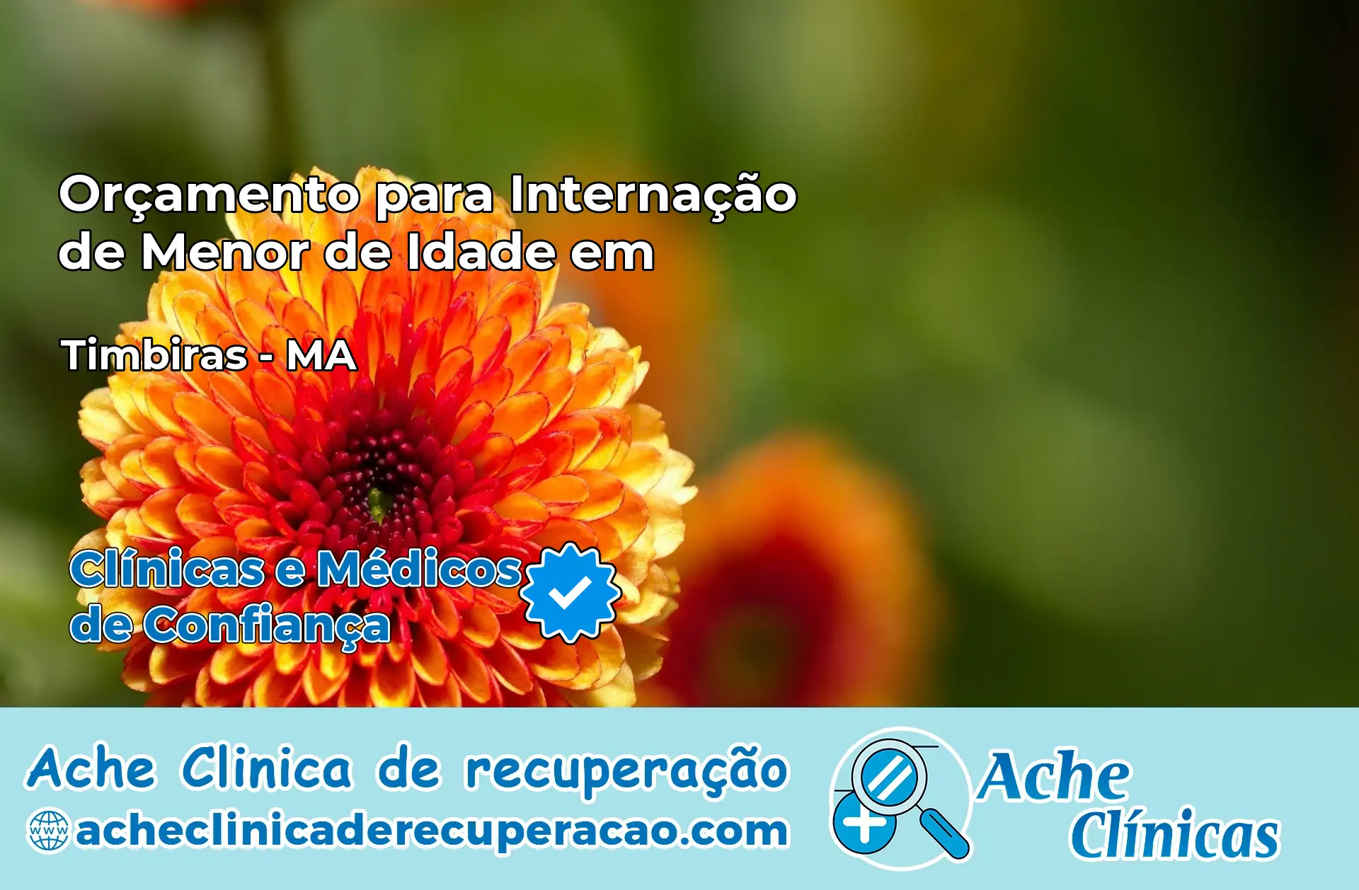Internação de Menor de Idade em Timbiras – MA